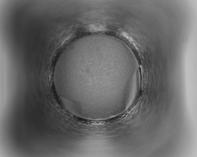 X0000096481157200801241438