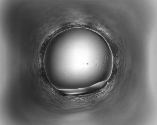 X0000096481159200801241438