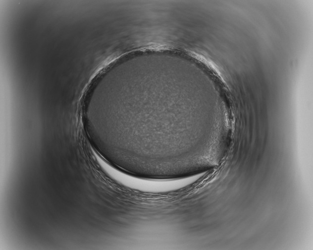 X0000096481160200801241438