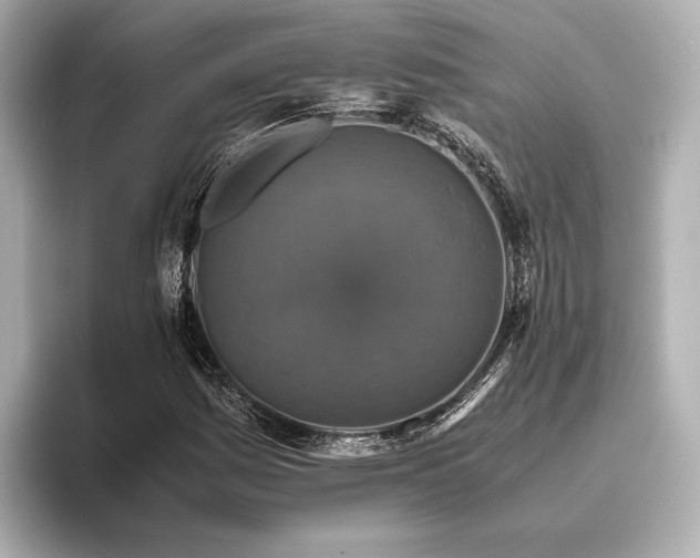 X0000096481161200801241438