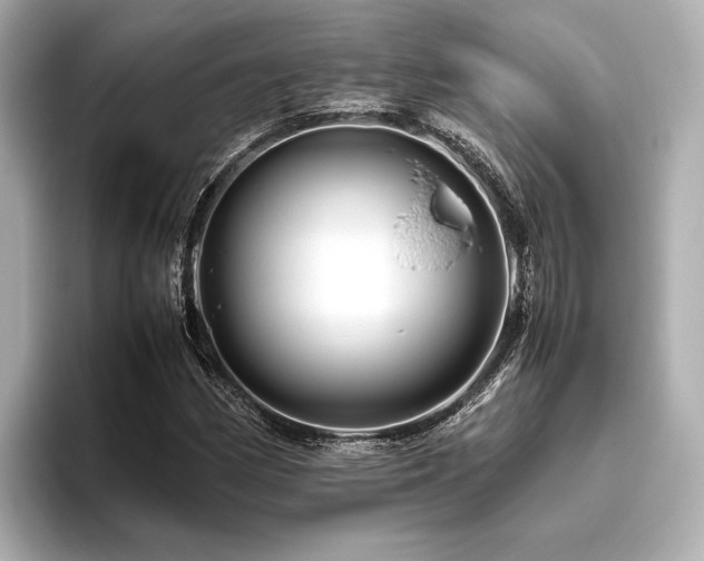 X0000096481162200801241438