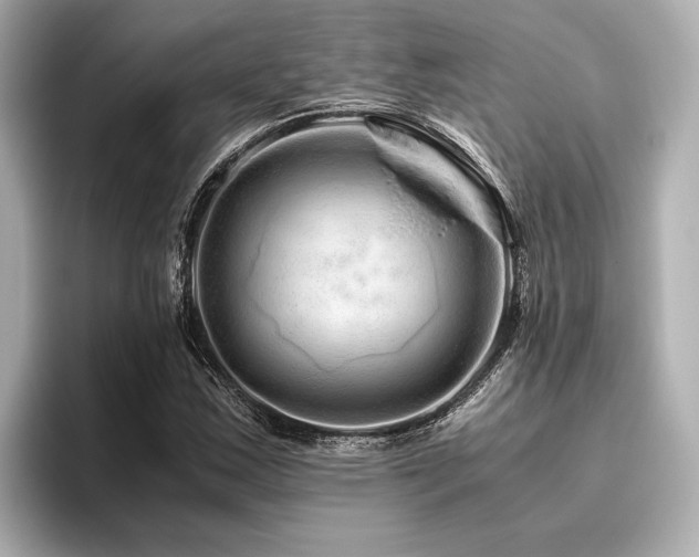 X0000096481163200801241438