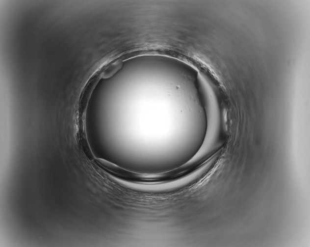 X0000096481165200801241438