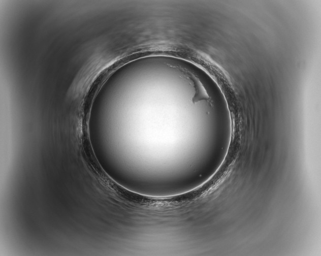 X0000096481166200801241438