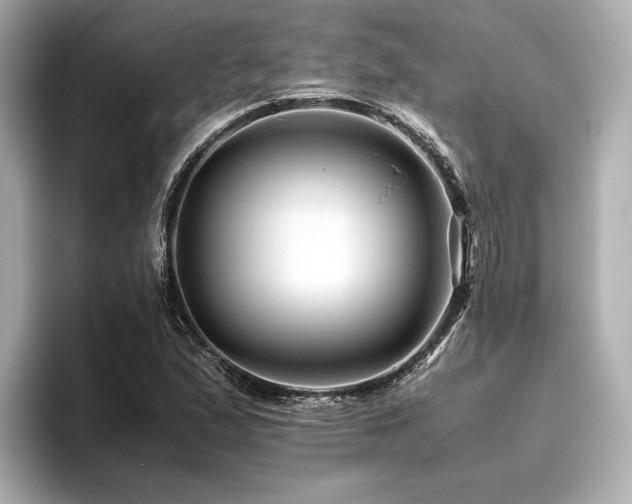 X0000096481167200801241438