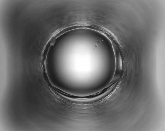 X0000096481168200801241438