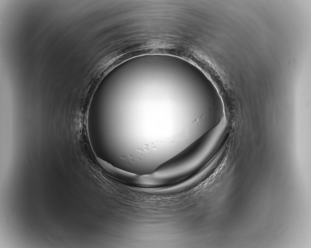 X0000096481169200801241438