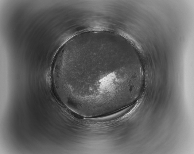 X0000096481170200801241438