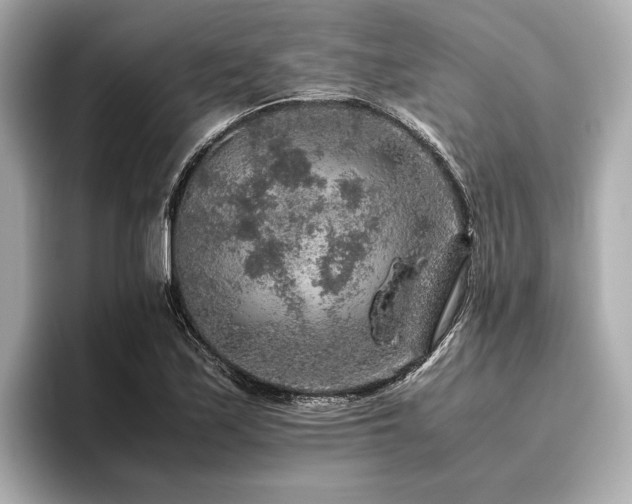 X0000096481171200801241438