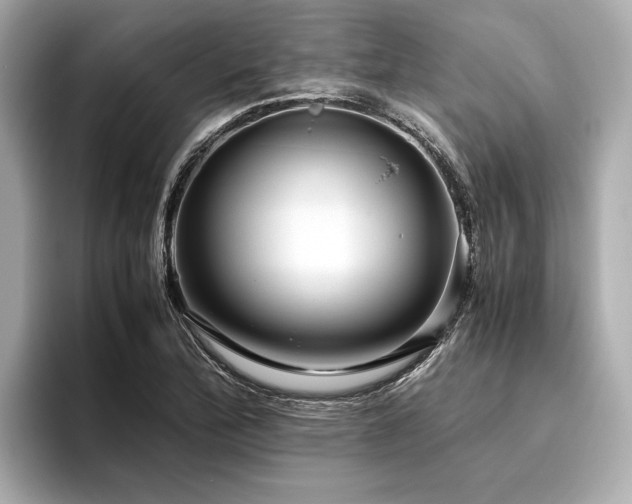 X0000096481172200801241438