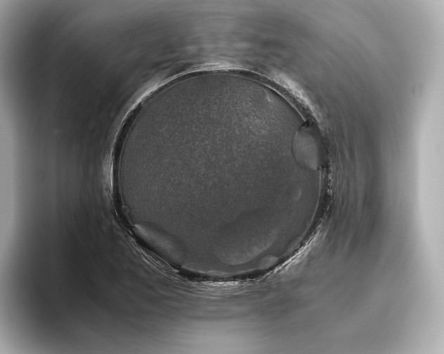 X0000096481173200801241438