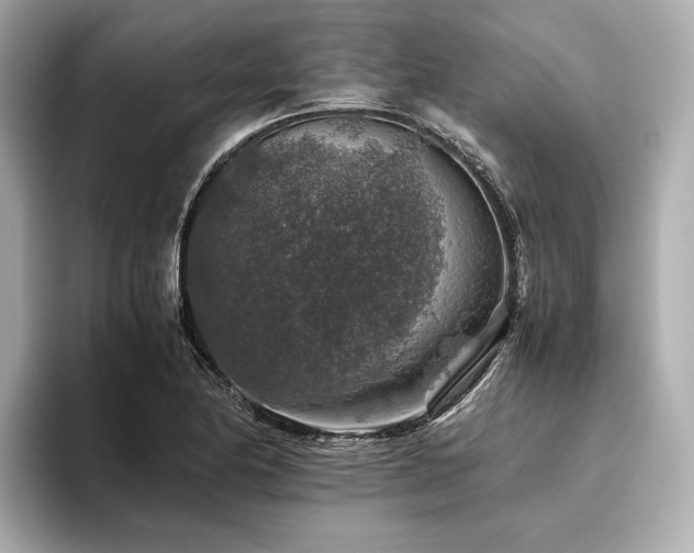 X0000096481174200801241438