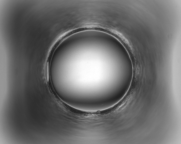 X0000096481175200801241438