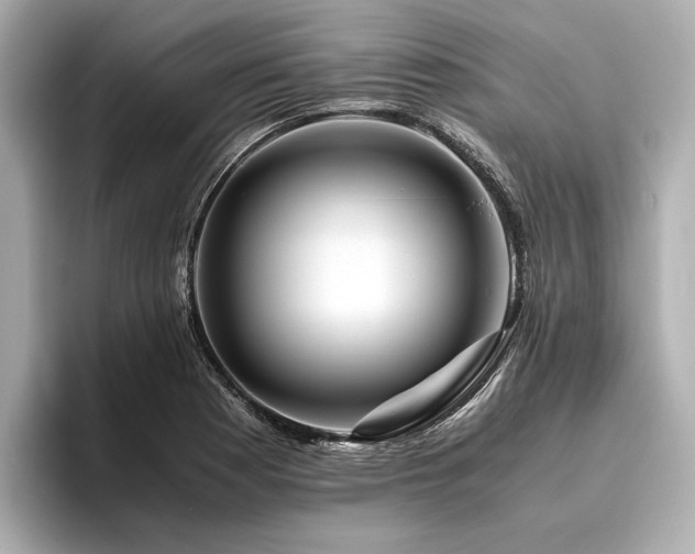 X0000096481177200801241438