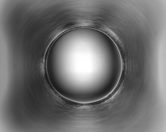 X0000096481178200801241438