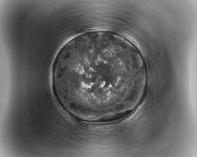 X0000096481179200801241438