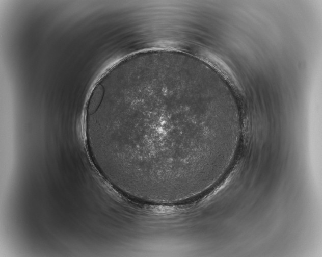 X0000096481180200801241438