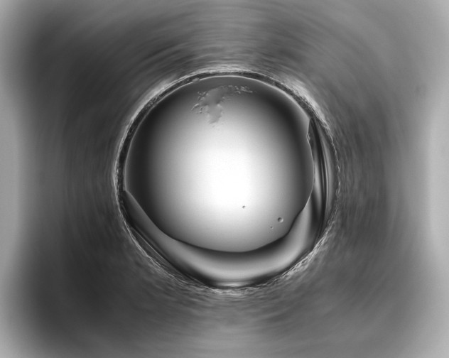 X0000096481181200801241438