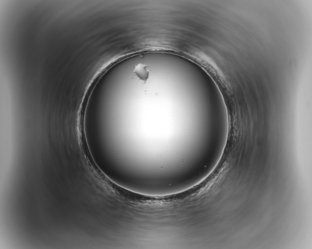 X0000096481182200801241438