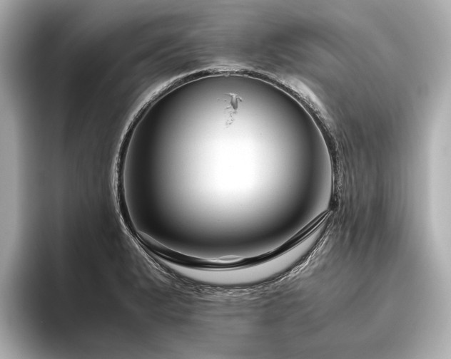 X0000096481183200801241438