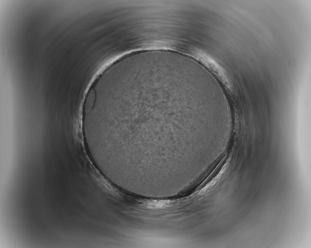 X0000096481184200801241438