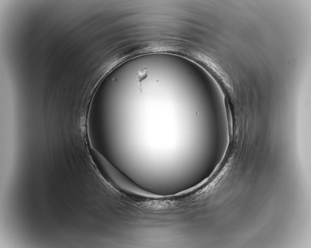 X0000096481185200801241438