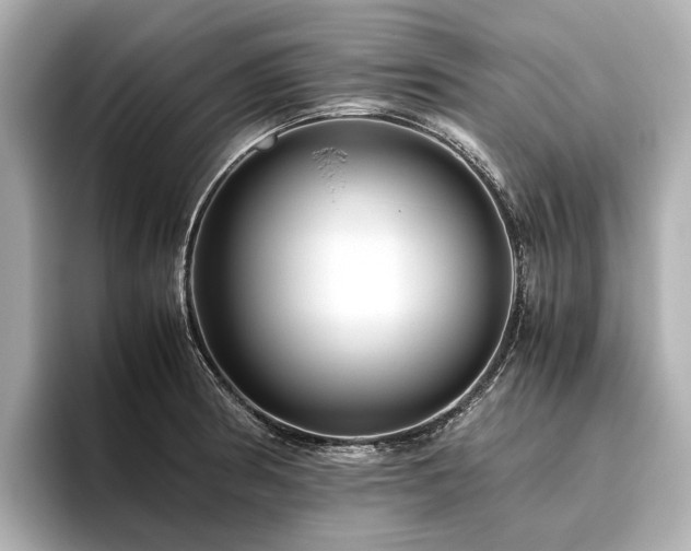 X0000096481186200801241438