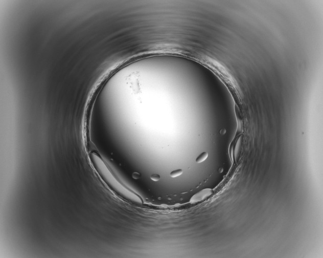 X0000096481188200801241438