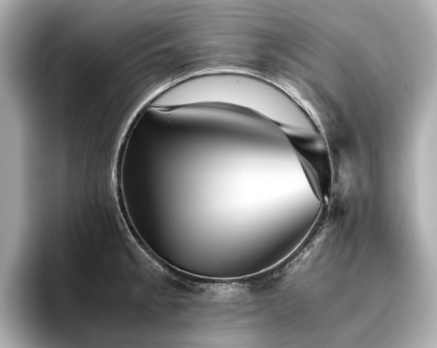 X0000096481189200801241438