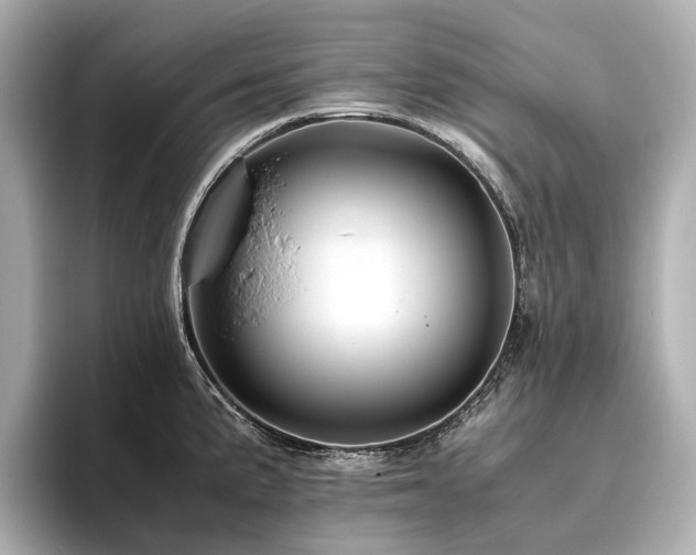 X0000096481191200801241438