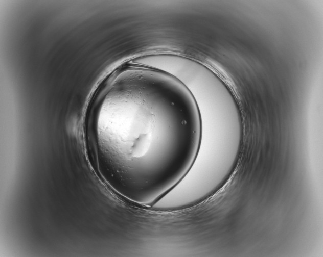 X0000096481192200801241438