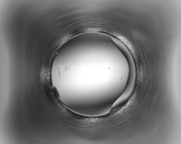 X0000096481193200801241438