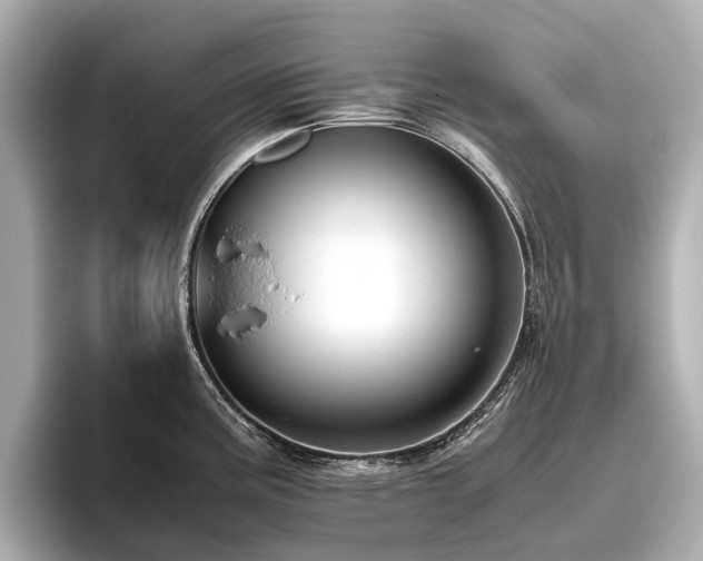 X0000096481195200801241438