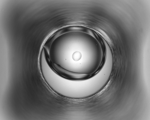 X0000096481196200801241438