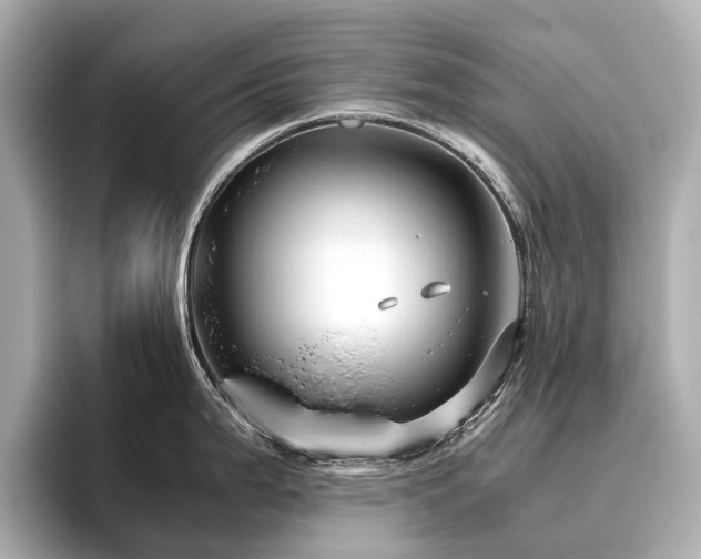 X0000096481199200801241438