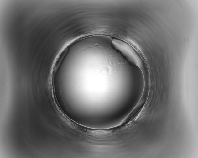 X0000096481200200801241438