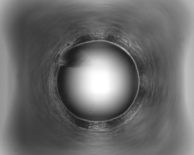 X0000096481201200801241437