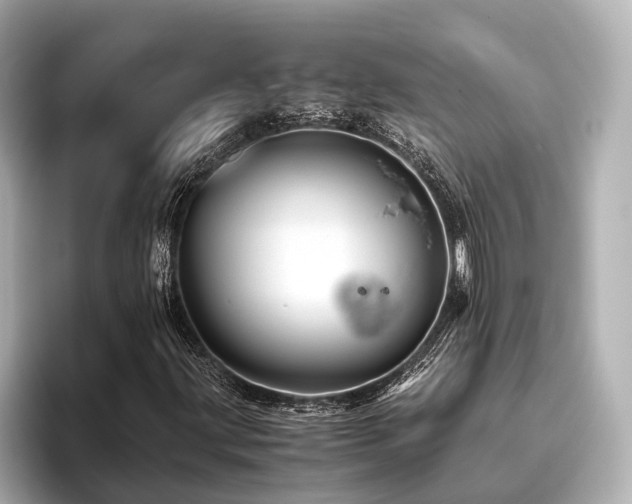 X0000096481203200801241437