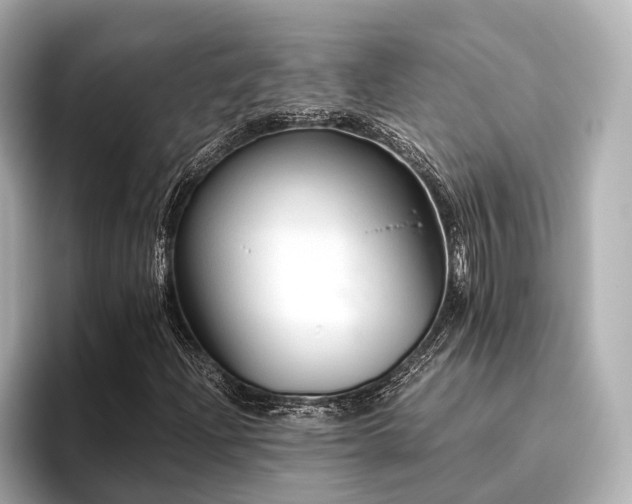 X0000096481204200801241437