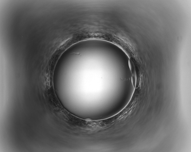 X0000096481205200801241437