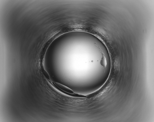 X0000096481209200801241437