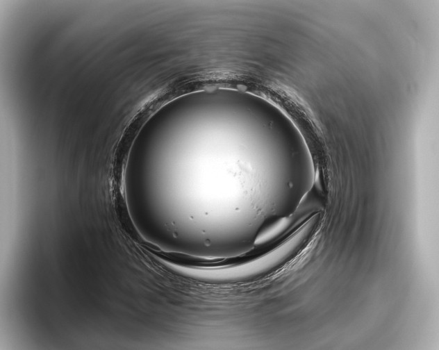 X0000096481210200801241437