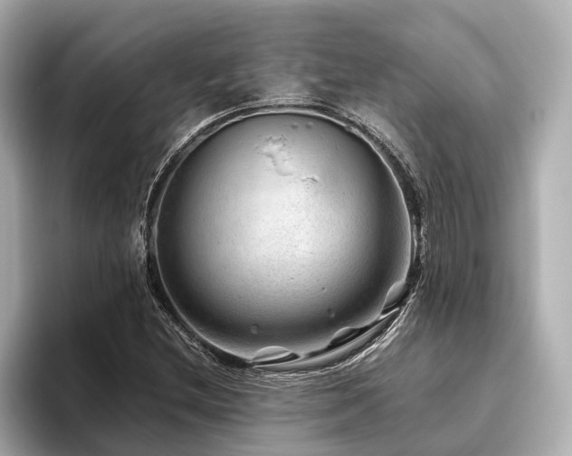 X0000096481212200801241437