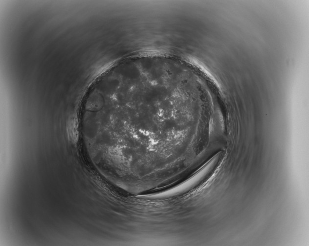 X0000096481213200801241437