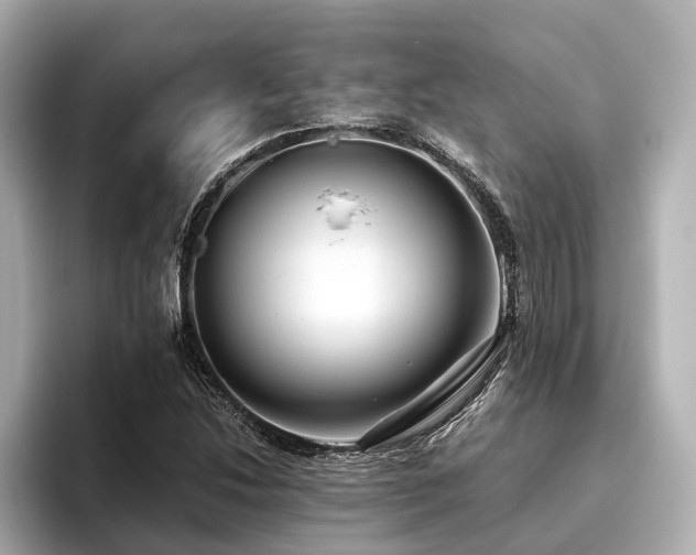 X0000096481214200801241437