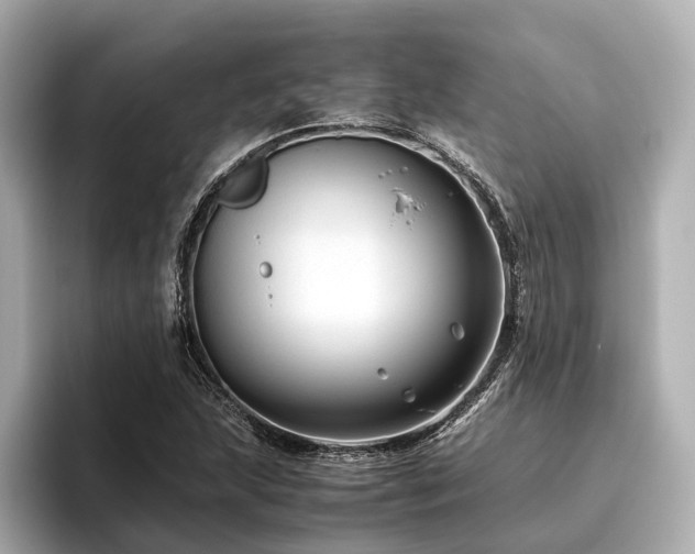 X0000096481215200801241437