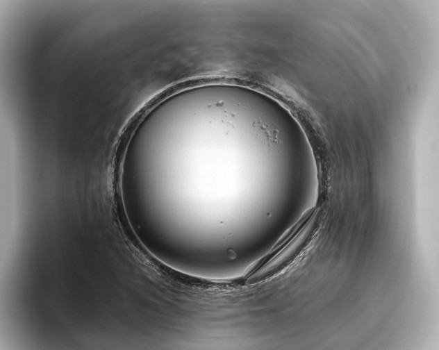 X0000096481216200801241437