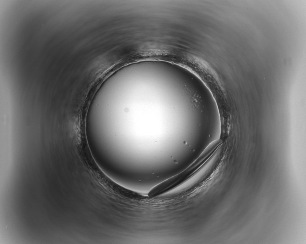 X0000096481217200801241438