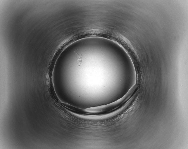 X0000096481218200801241438