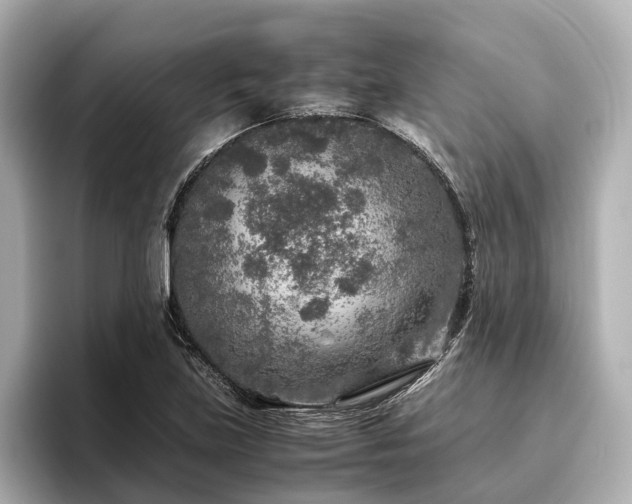 X0000096481219200801241438